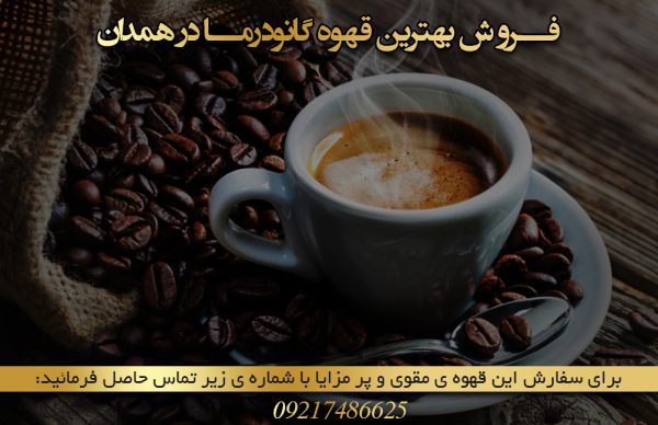 فروش قهوه گانودرما