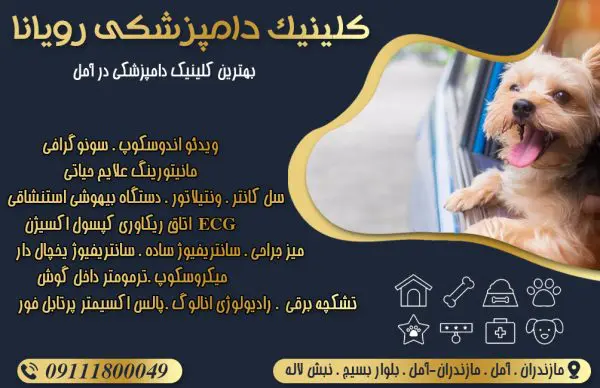 کلینیک دامپزشکی رویانا