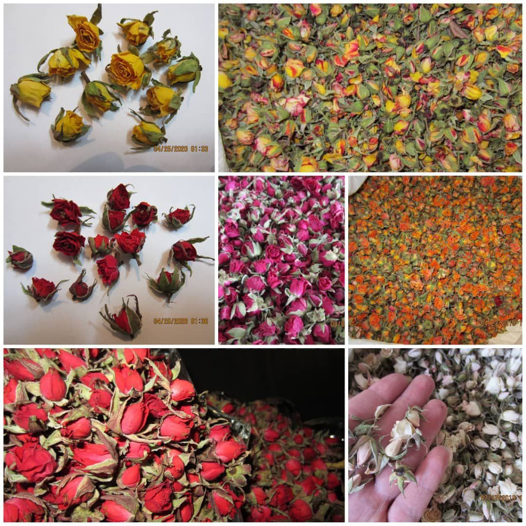 فروش انواع غنچه خشک گل رز و انواع گلهای آپارتمانی و باغچه ای