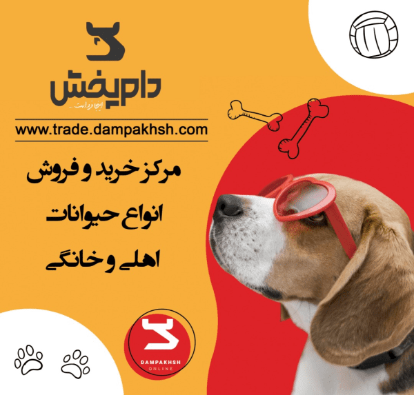هر حیوونی که دوست داری بخر و بفروش