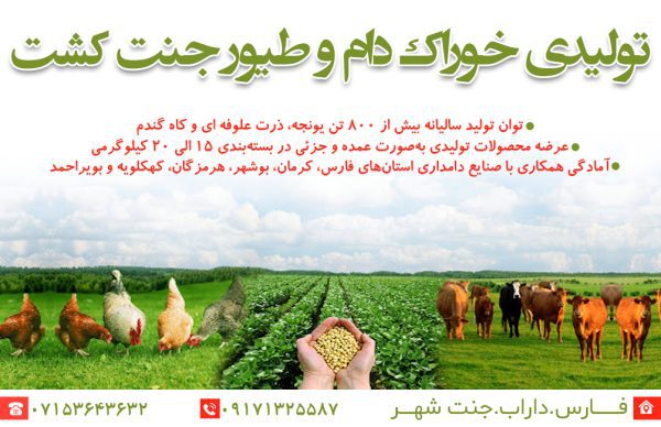 تولید خوراک دام و طیور