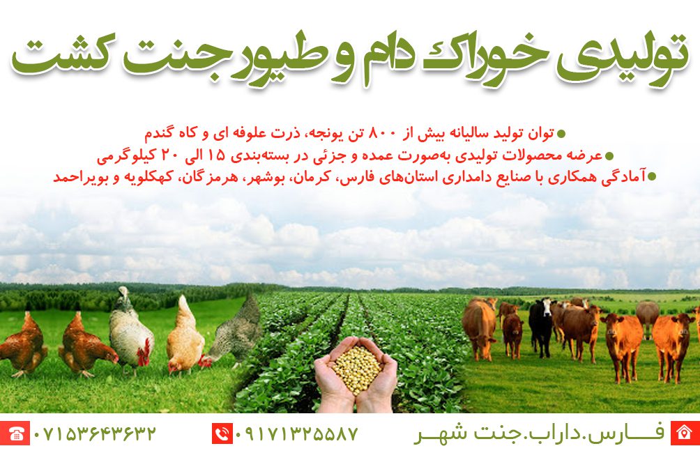 تولید خوراک دام و طیور