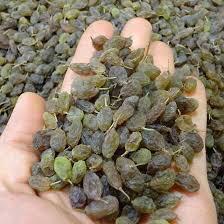 فروش مغز گردو و بادام اعلا تویسرکان - Image 2