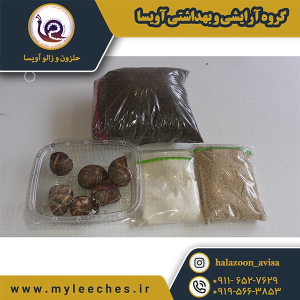 فروش پک 5 حلزون اسکارگو