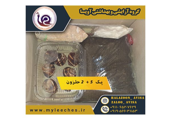 فروش پک 5 حلزون اسکارگو - Image 2