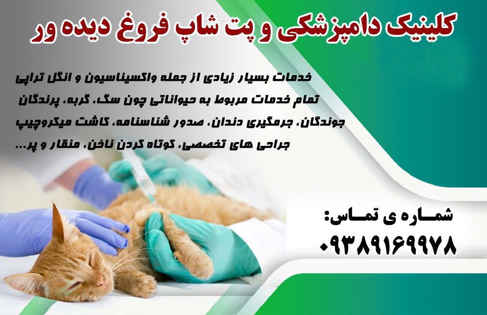 کلینیک دامپزشکی در شاهین شهر | پت شاپ نیکان در شاهین شهر | دکتر فروغ دیده ور