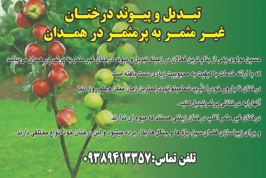 تبدیل پیوند درختان غیرمثمر به پر مثمر در همدان