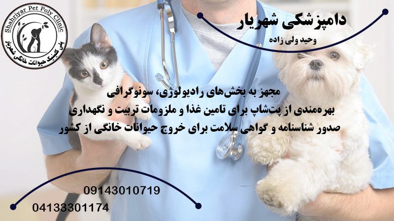 دامپزشکی حیوانات خانگی در تبریز