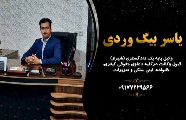یاسر بیگ وردی وکیل پایه یک دادگستری در شیراز