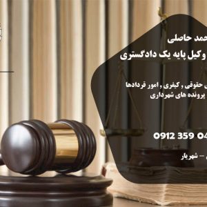 محمد حاصلی وکیل پایه یک دادگستری در شهریار