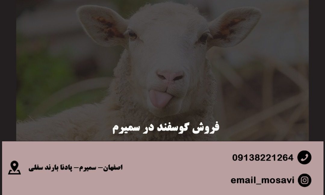 مرکز فروش گوسفند در سمیرم