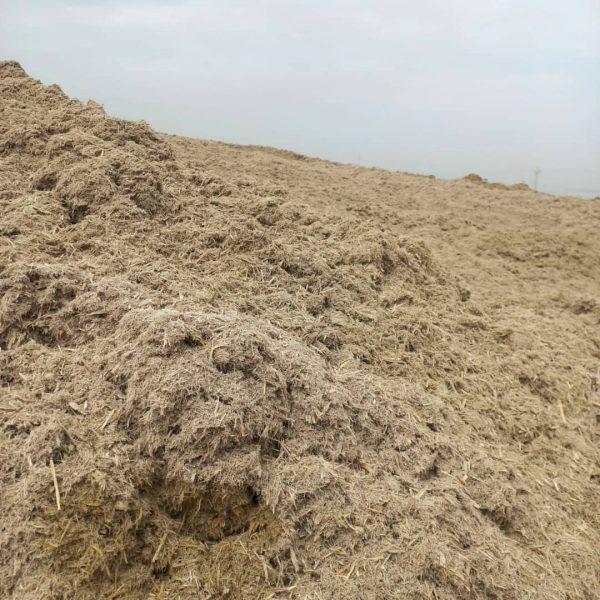 فروش کاه نرم و تازه نیشکر در خوزستان - Image 6