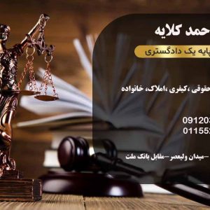 فریبا احمد کلایه وکیل پایه یک دادگستری در رامسر