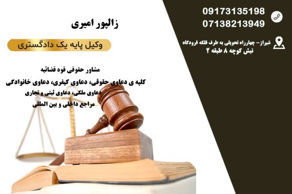 زالپور امیری وکیل دعاوی بین المللی در شیراز