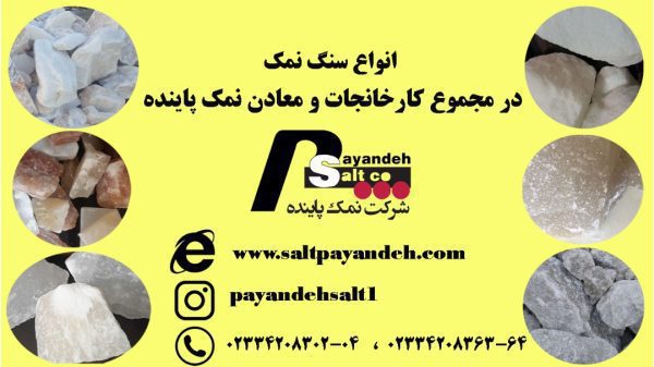 اطلاعات باورنکردنی در خصوص تبلیغات نمک در فضای مجازی