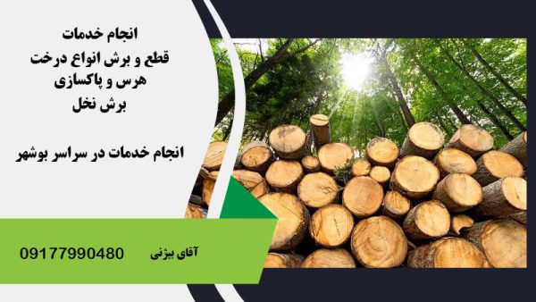 بهترین مرکز هرس و برش درخت در بوشهر