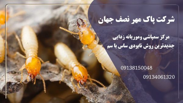 سمپاشی تخصصی موریانه در اصفهان | شرکت پاک مهر در اصفهان