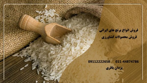 فروش انواع برنج ایرانی در مازندران