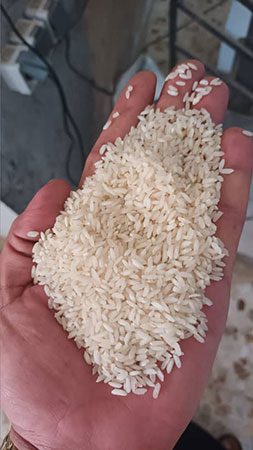 فروش برنج عنبر بو در اهواز